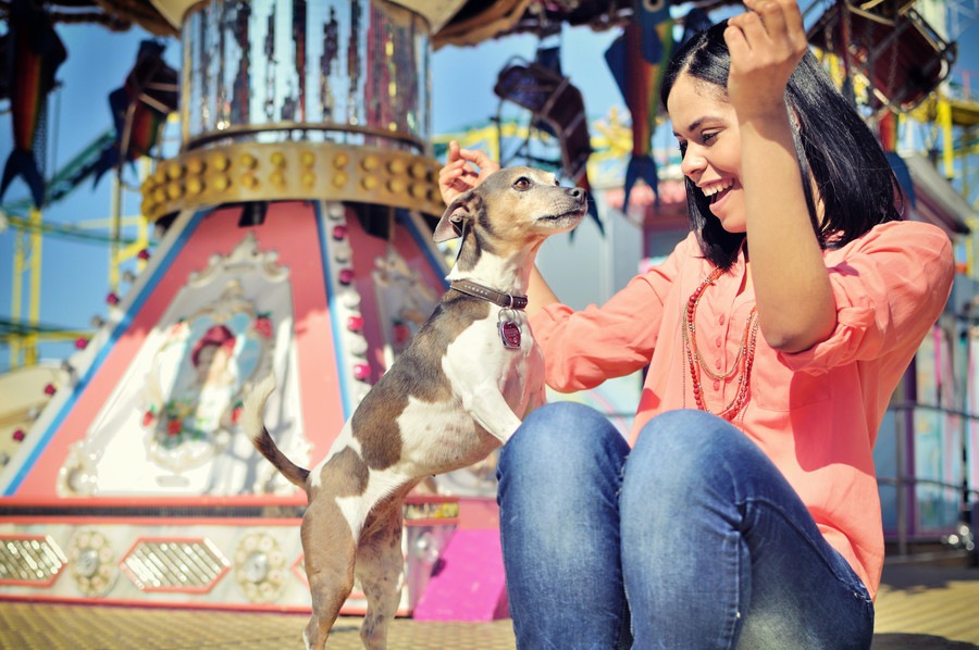 東京都内で犬と遊べる！おすすめのお出かけスポット７選