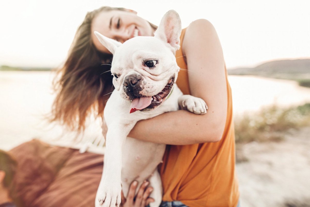 間違ってない？犬の抱っこをする『正しい方法』４つ