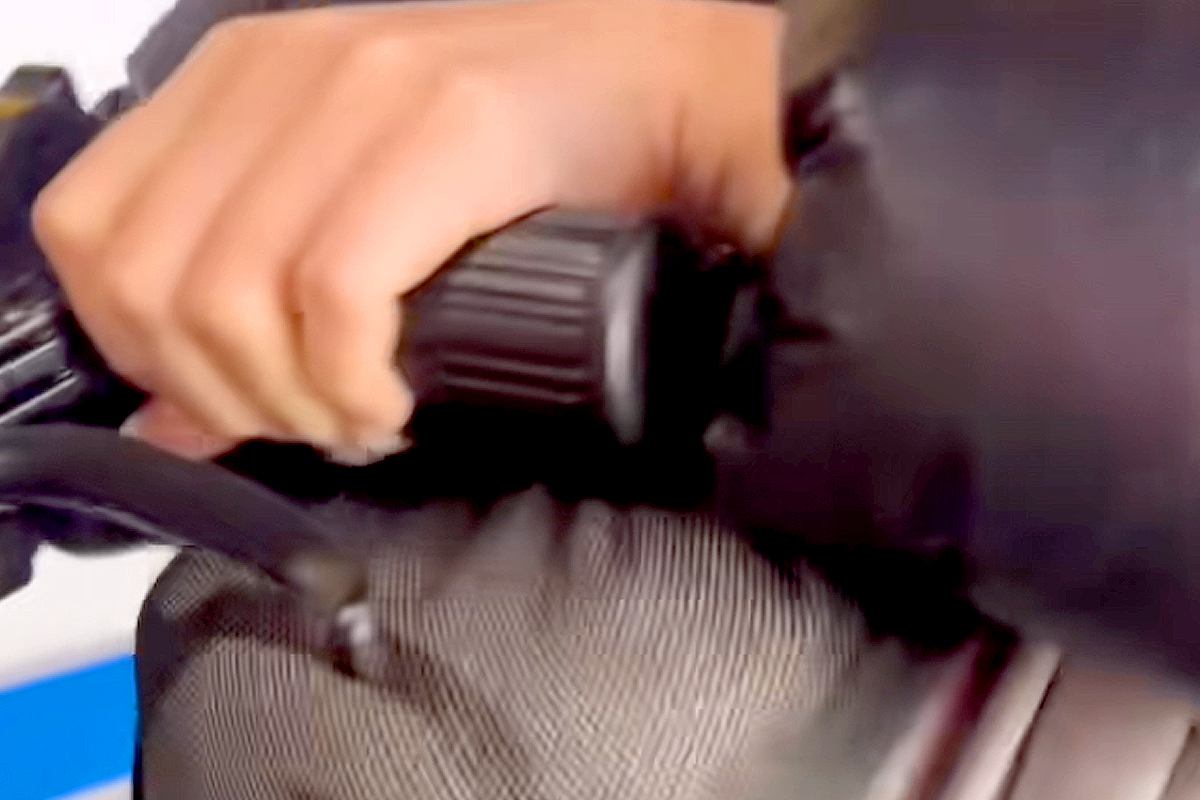 バッグの中で頭を押し付ける犬→網目から『表情』を見てみると…「顔面ストッキングで草」「破壊力ヤバいｗｗ」普段とは違いすぎる光景に爆笑続々