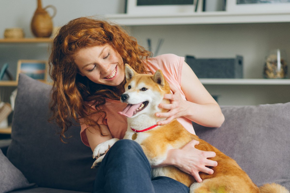 犬が飼い主と会うたびに大喜びする『5つの理由』