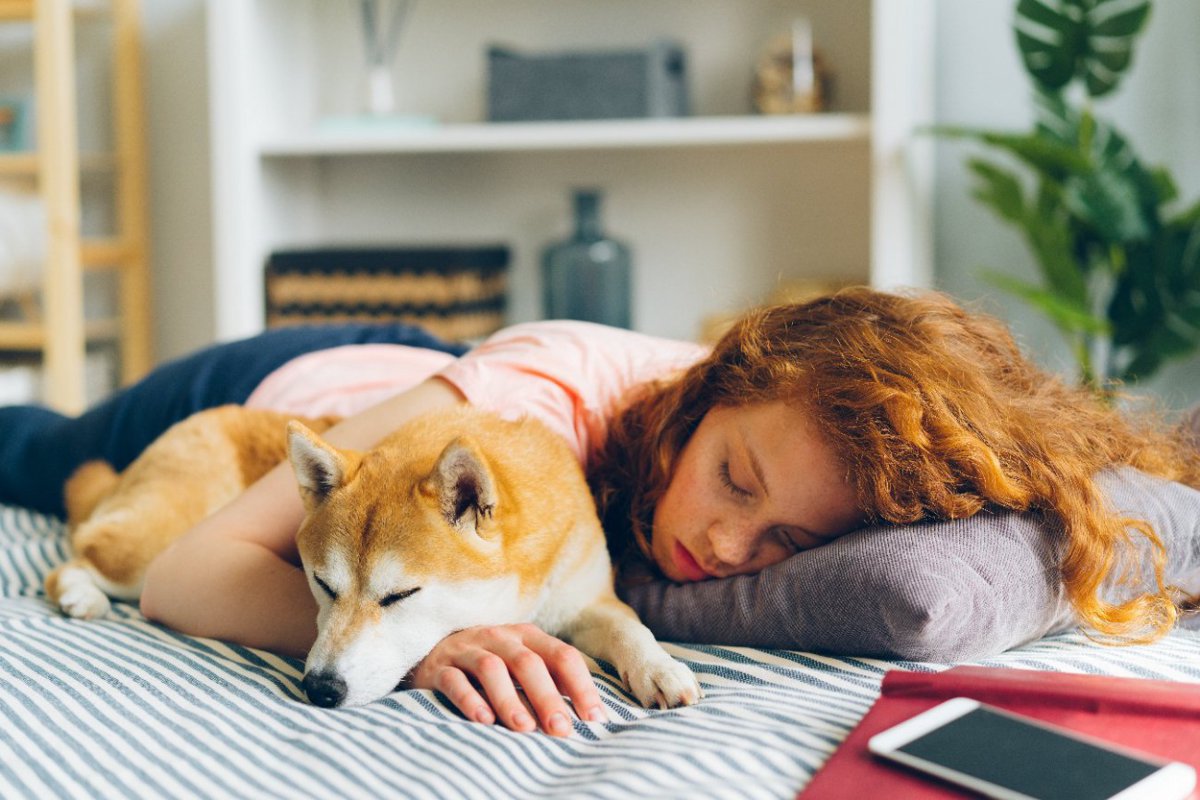 愛犬はどこが好き？犬が添い寝してくる位置でわかる『飼い主への想い』5選