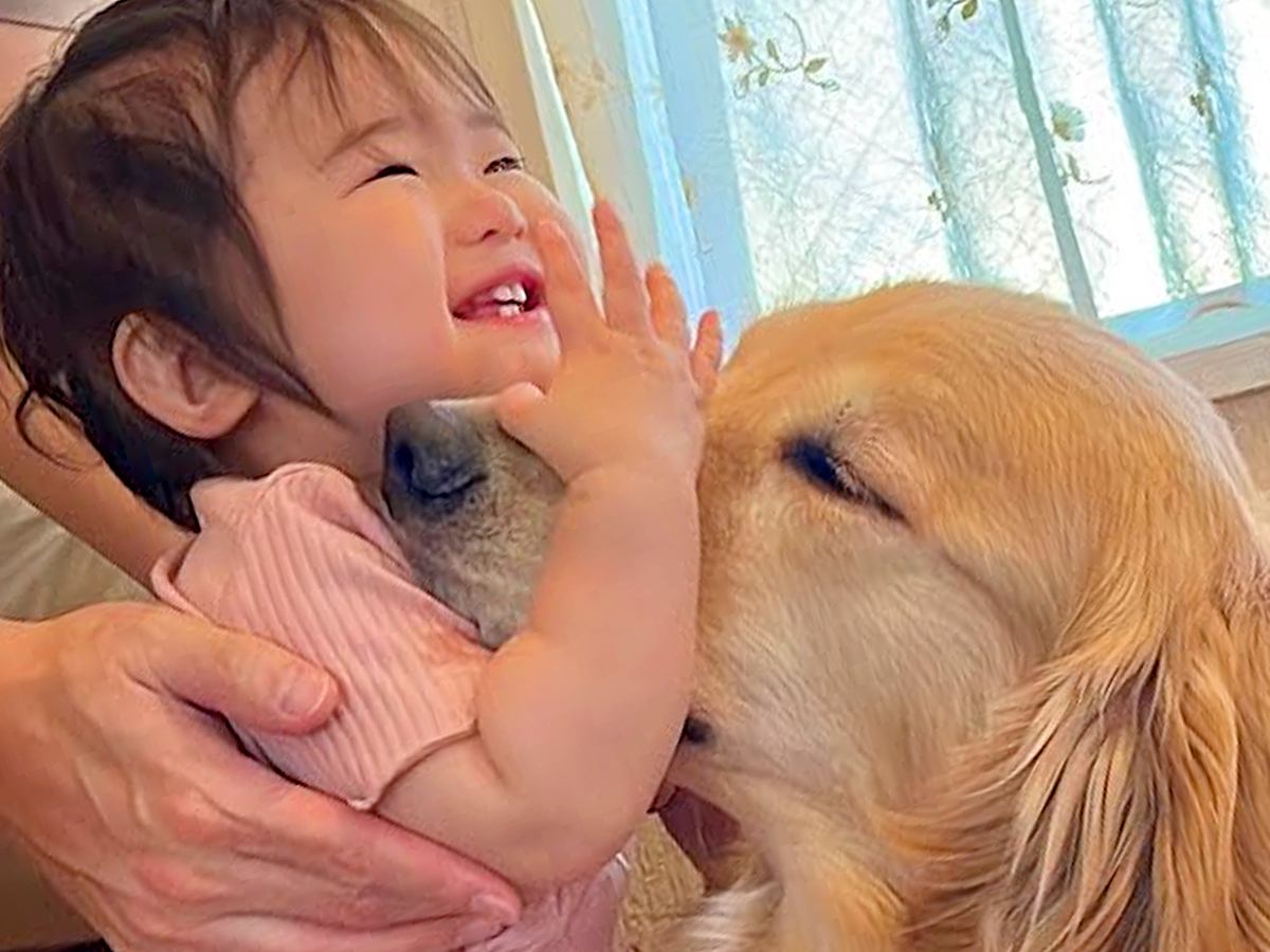 歩き疲れてお昼寝に行こうとする女の子→大型犬が名残惜しそうに…まさかの『人間のような行動』が42万再生「優しい」「幸せな気持ちになる」