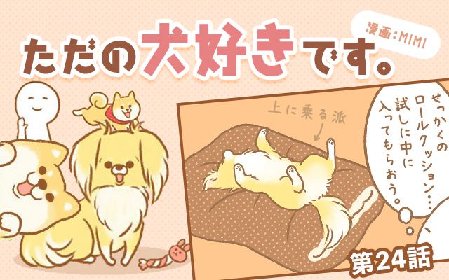 ただの犬好きです。【第24話】「早すぎ！」