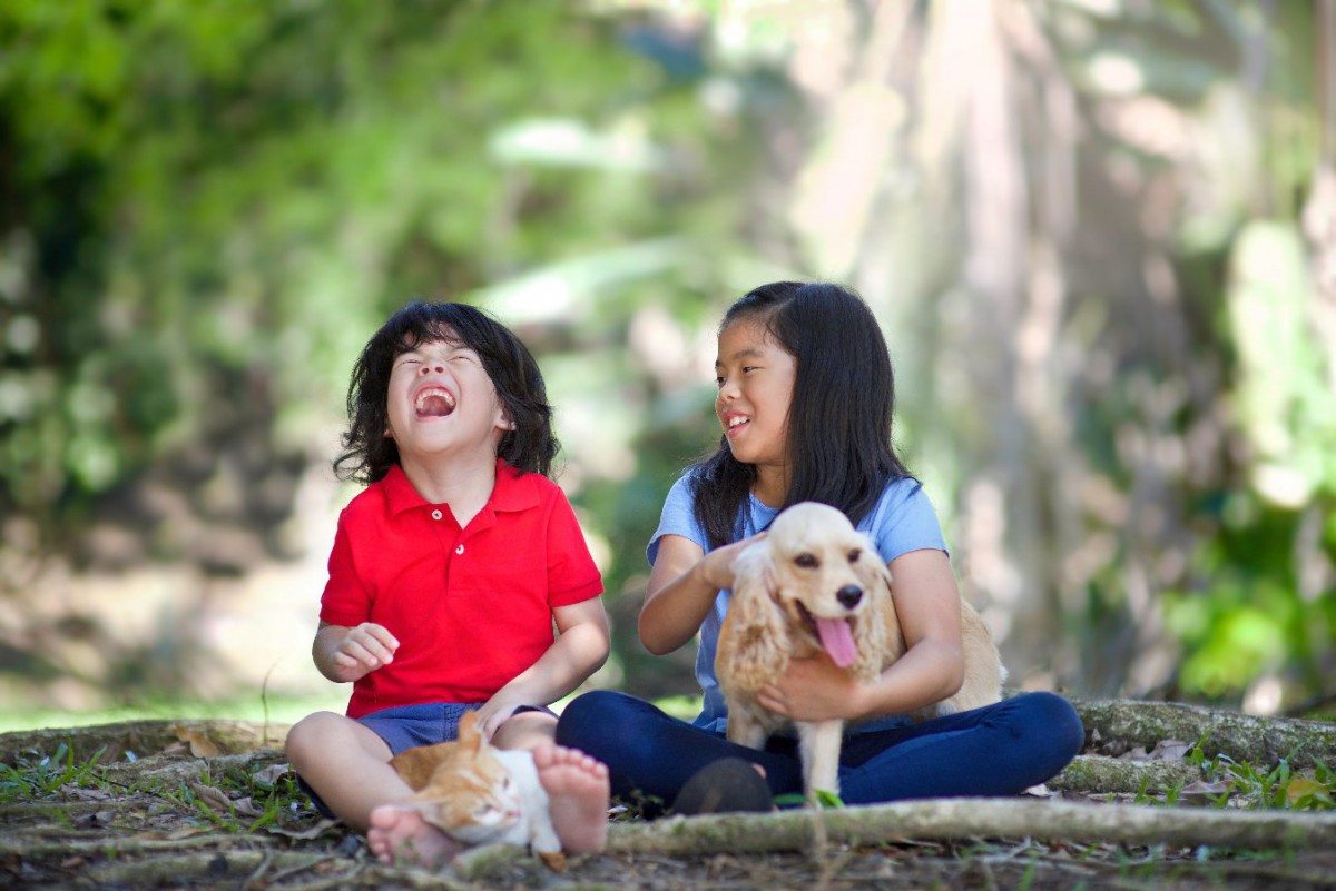 犬や猫と暮らしている人は喘息の発症率が低いという日本での研究結果