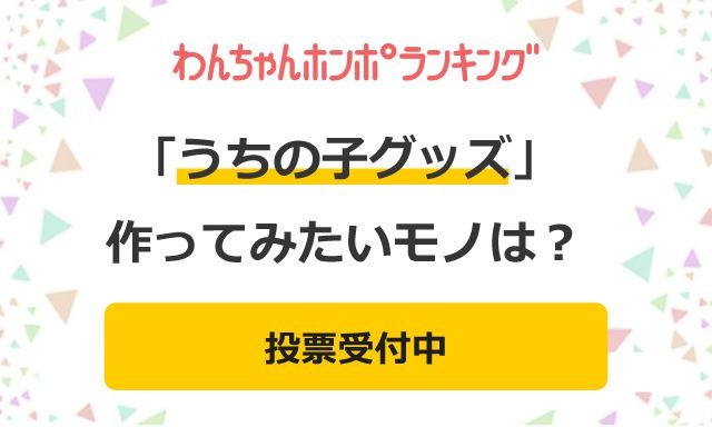 【投票受付中】「うちの子グッズ」作ってみたいのは？