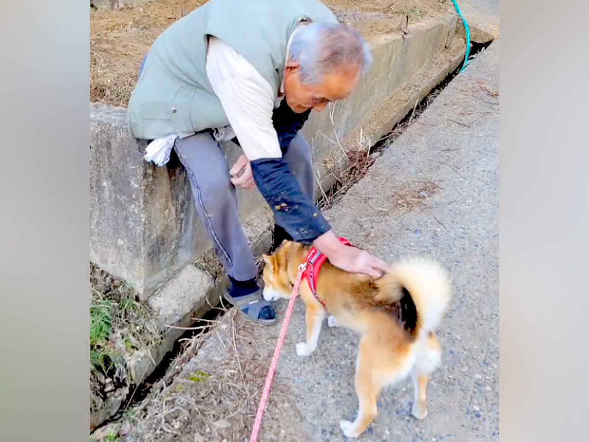 近所のおじいちゃんに可愛がってもらっていた16歳の老犬→亡くなってしまい…涙腺崩壊する『別れの光景』が267万再生「心に深く残る」と反響