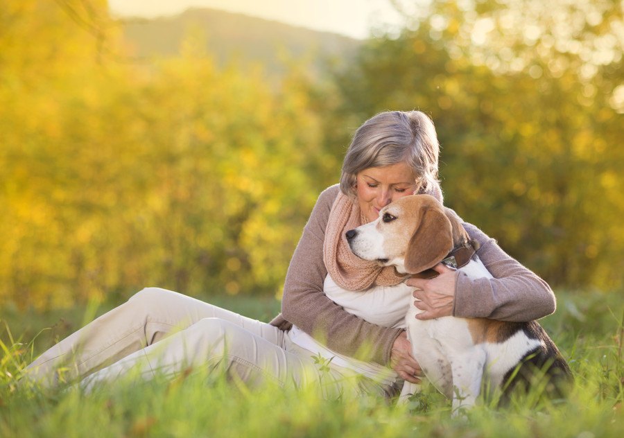 犬の9歳を人間の年齢に換算すると何歳？一緒に暮らすポイントや長生きさせるコツについて