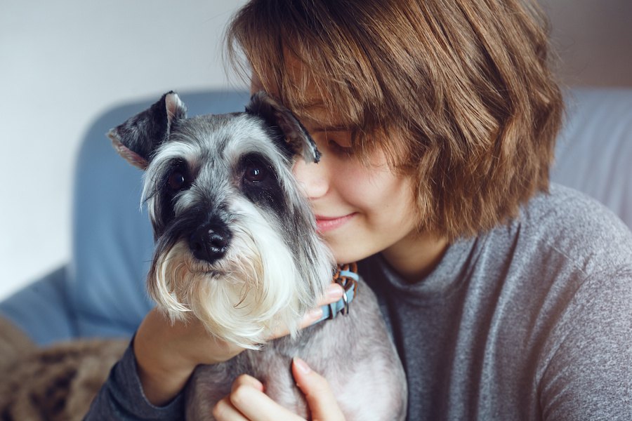 犬と飼い主の間に『友情』が芽生えている時のサイン４つ