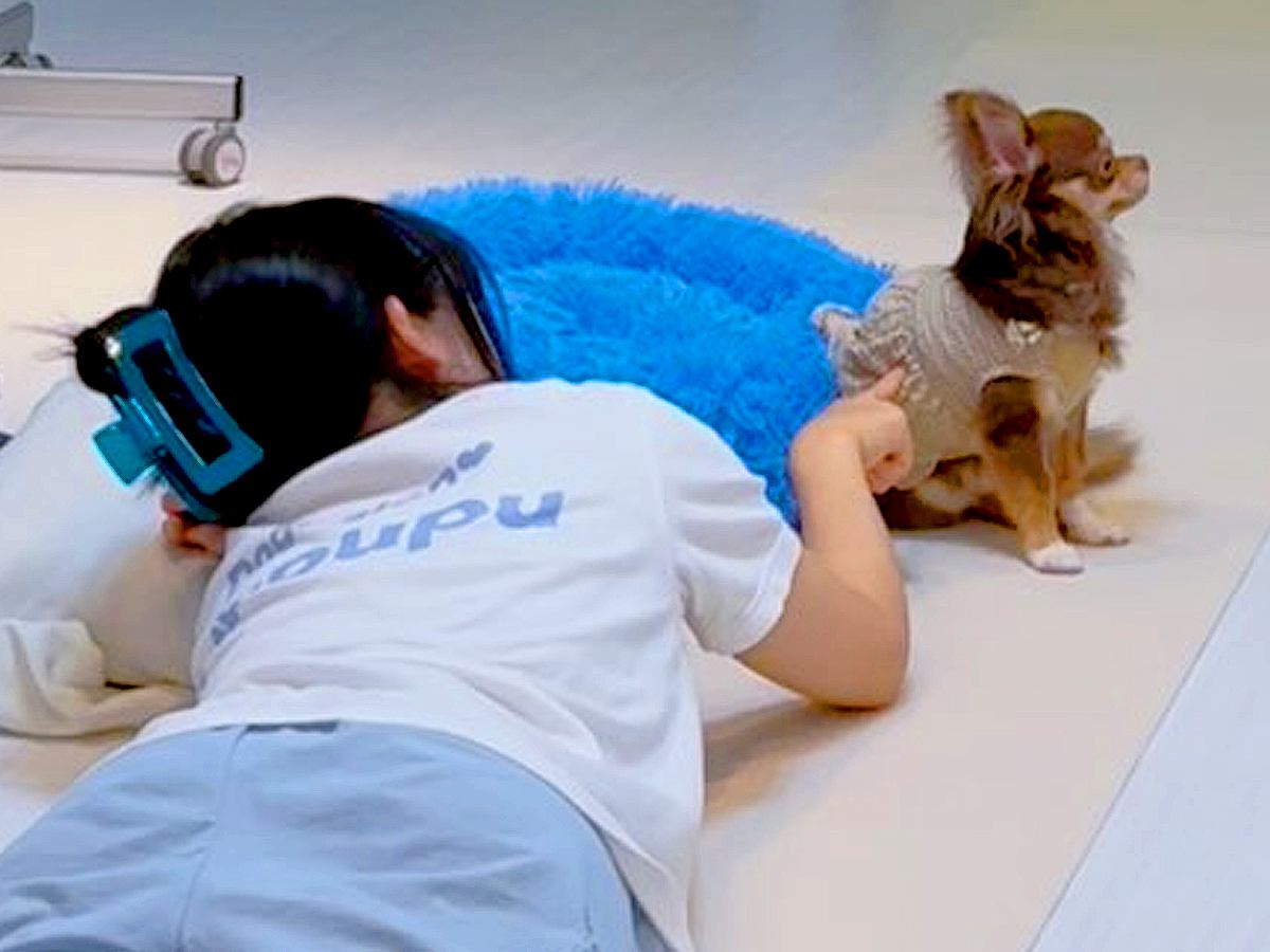 名前を呼んでもそっぽ向く犬→仲良くなれないかと思いきや、40分後…別犬かと思うほどの『態度の変化』が話題「ほっこり」「可愛すぎる」と反響