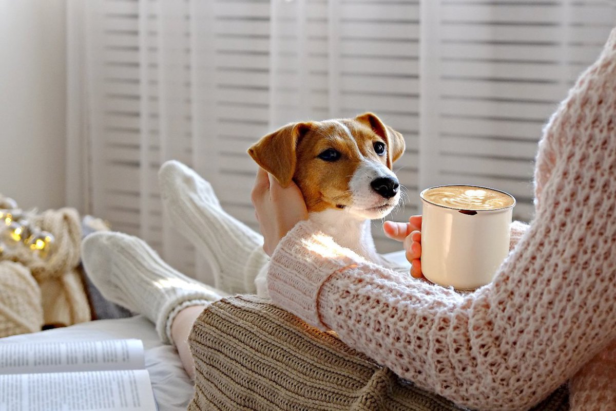 犬があなたに近づいてくるときに抱いている気持ち5つ！喜ばせる飼い主がすべきスキンシップとは？