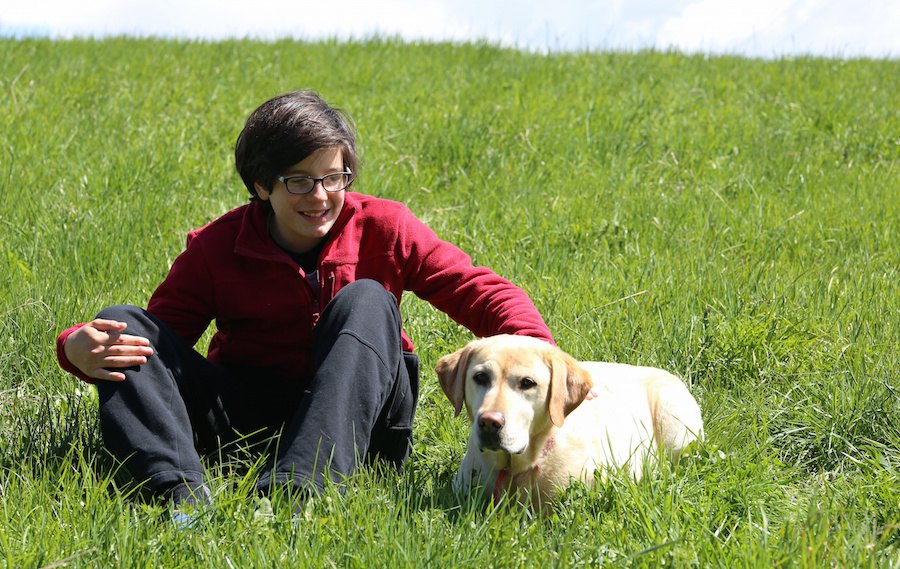 犬は障害を持つ人と社会の橋渡し役になれるだろうか【研究結果】