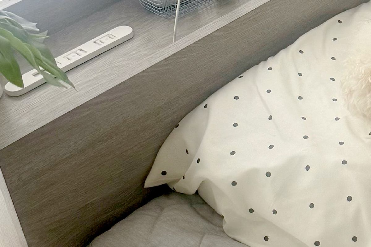 朝、トイレをしてベッドに戻ろうとした結果→寝ることができなくなっていて…まさかの光景に1万いいね「顔ｗｗ」「早いもの勝ち」「隣で寝たい」