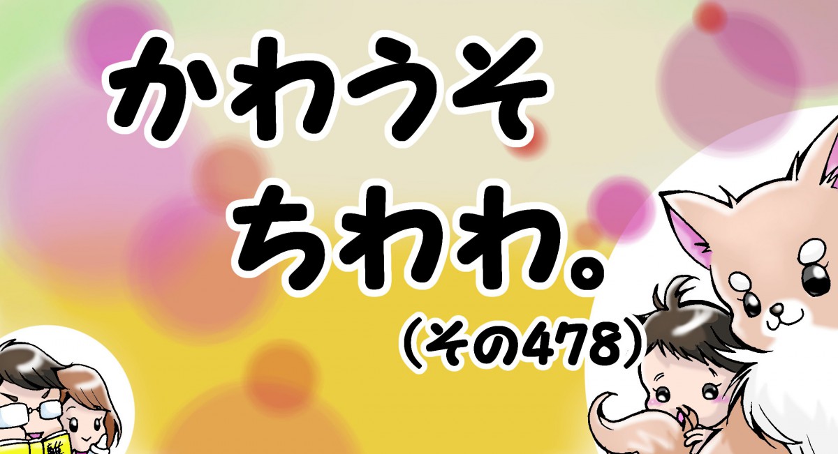 かわうそちわわ。【その478】「何でか記念に残してある」