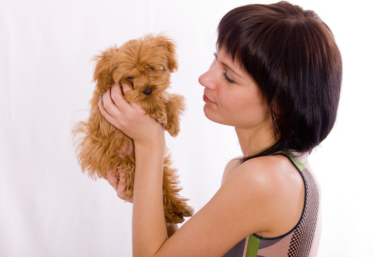 犬が『気まずいなぁ』と思っているときの行動5選