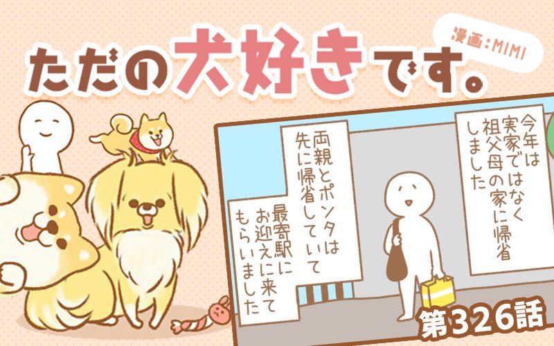 ただの犬好きです。【第326話】「帰省しました①」