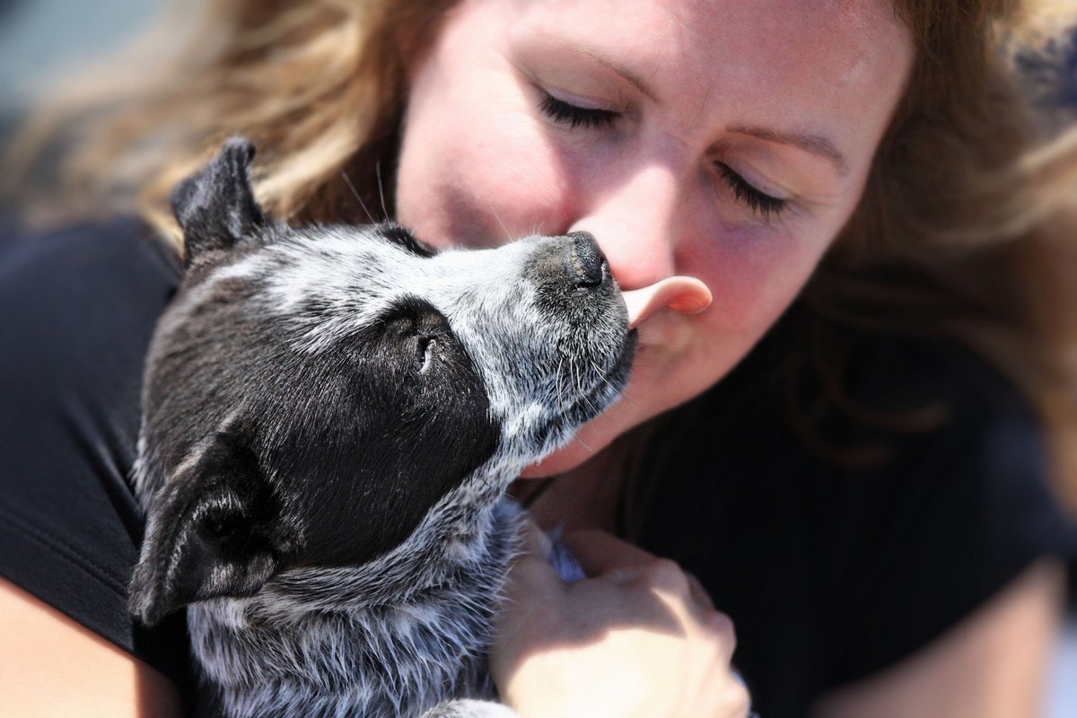 知ってた？犬が『人をぺろぺろと舐める』理由４つ