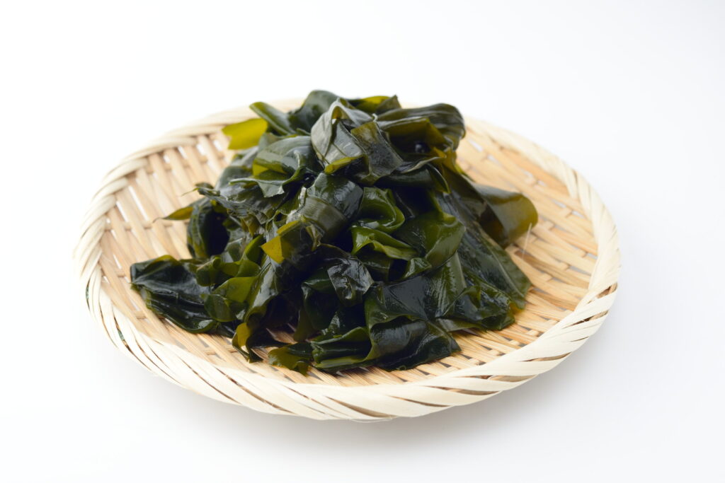 【獣医師監修】犬はわかめを食べても大丈夫！与え方と量の目安と注意点を解説