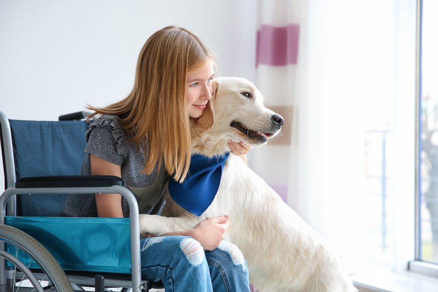 介助犬がもたらす心理的社会的な恩恵を科学的に示したリサーチ結果