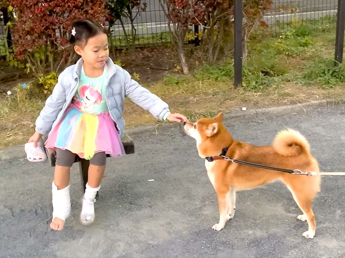 5歳の女の子が足をケガしたら、一緒に遊んでた犬が…心配で見せた『尊すぎる光景』が5万再生「絆すごい」「本当の姉妹みたい」「ホッコリした」