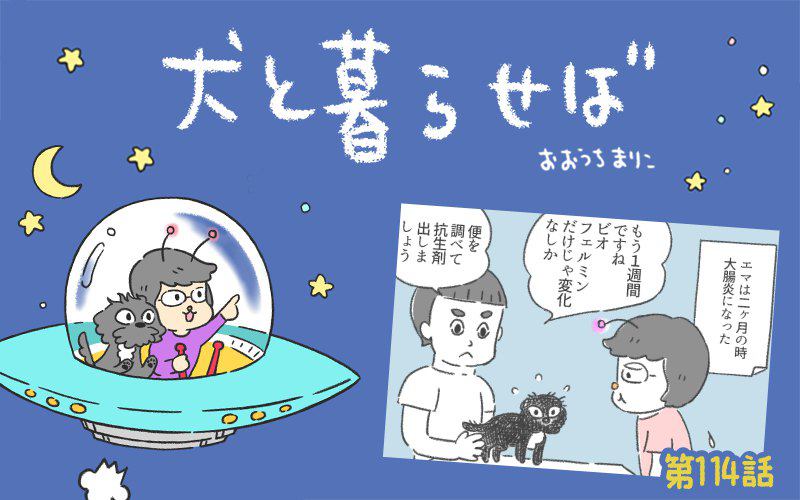 犬と暮らせば【第114話】「ピーナツバター」