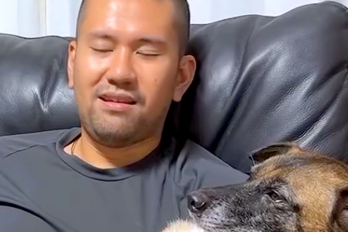 大嫌いな『雷』に怯えまくる元野犬→思った以上にブルブルと震えるので…まるで子供のような『愛おしい光景』が70万再生「全てが可愛い」