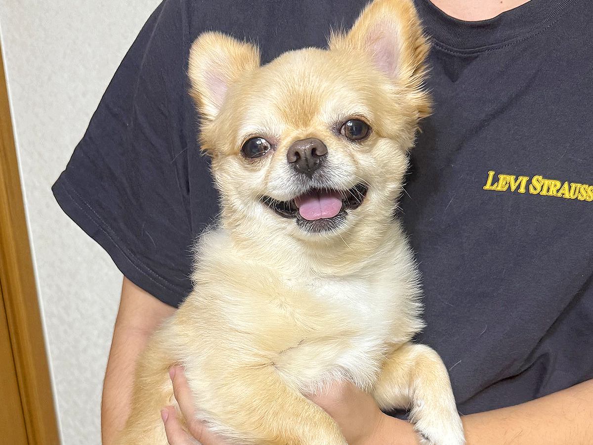 弟に抱っこされると笑顔になる犬→母がやってみると…差がありすぎる『表情の変化』が184万表示「どうしたのｗｗ」「違いすぎて草」と爆笑