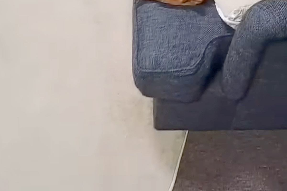 高熱が出たためソファで寝ていたパパ→トイレから戻ってきたら、犬に場所を取られていて…切ない結末が31万再生「パパ可哀想で草」「逆ギレw」