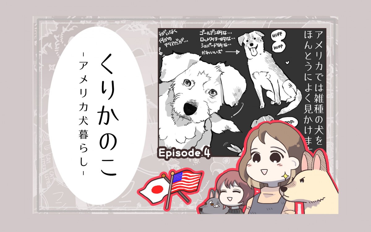 くりかのこ　アメリカ犬暮らし【第4話】「ミックスの国」