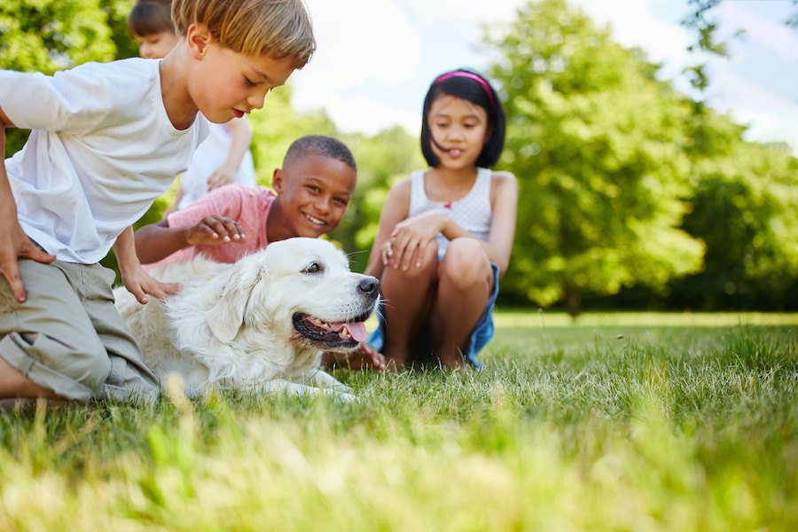 愛犬家が気をつけたい『近所付き合い』での４つの気配りとトラブルへの注意事項