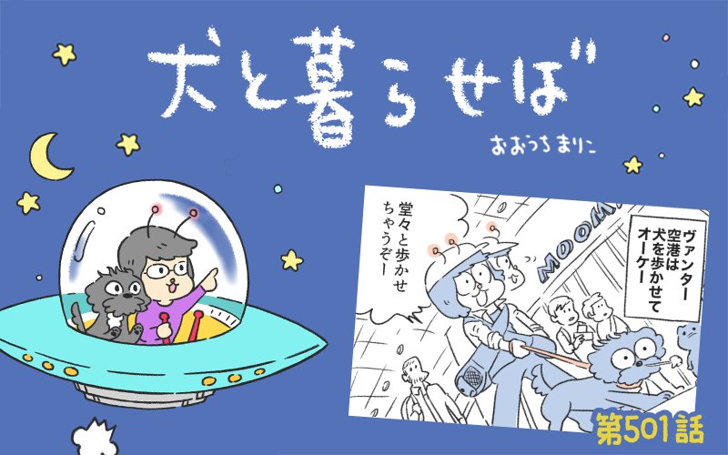 犬と暮らせば【第501話】「北欧っぽい」