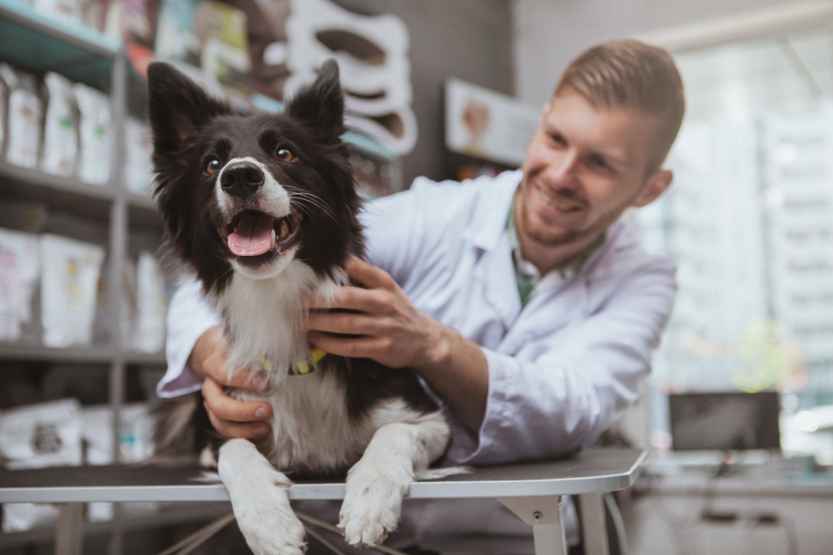 ドッグサイエンスは何を目指すべきか、犬研究の第一人者からの報告