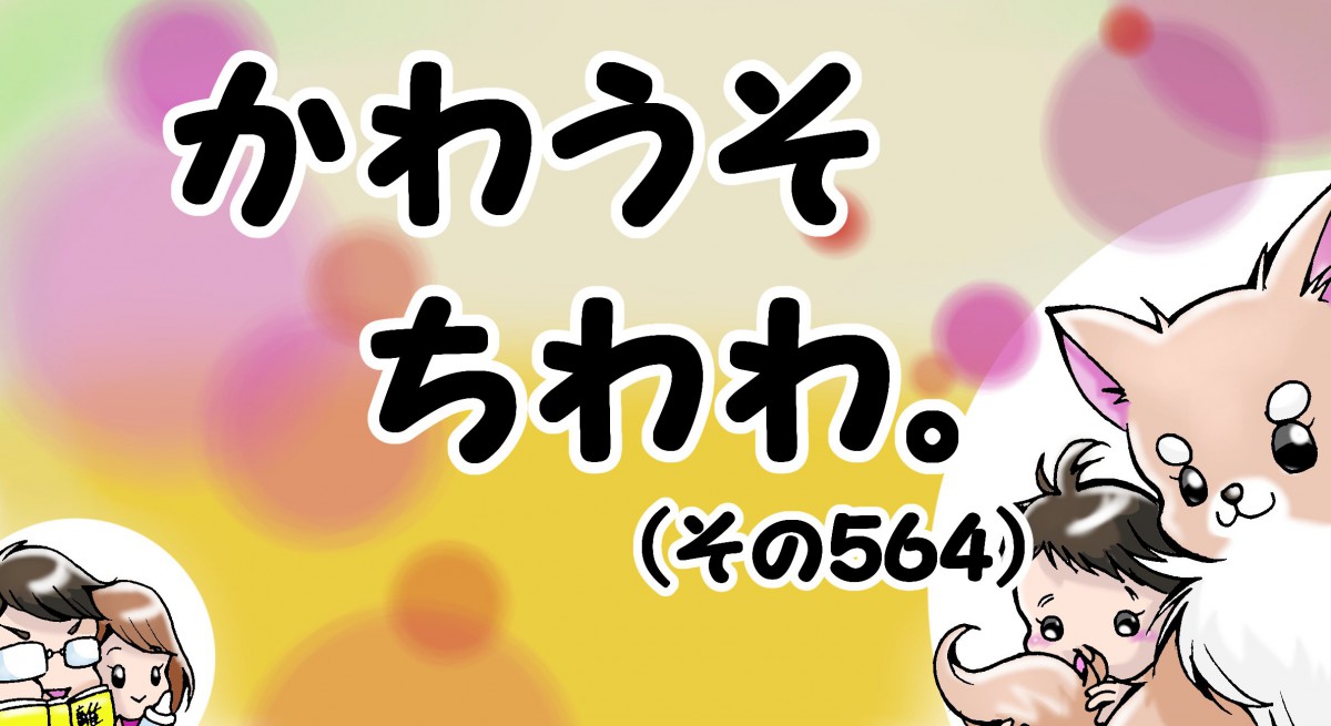 かわうそちわわ。【その564】「座るとお尻が痛いのが悩みです。」