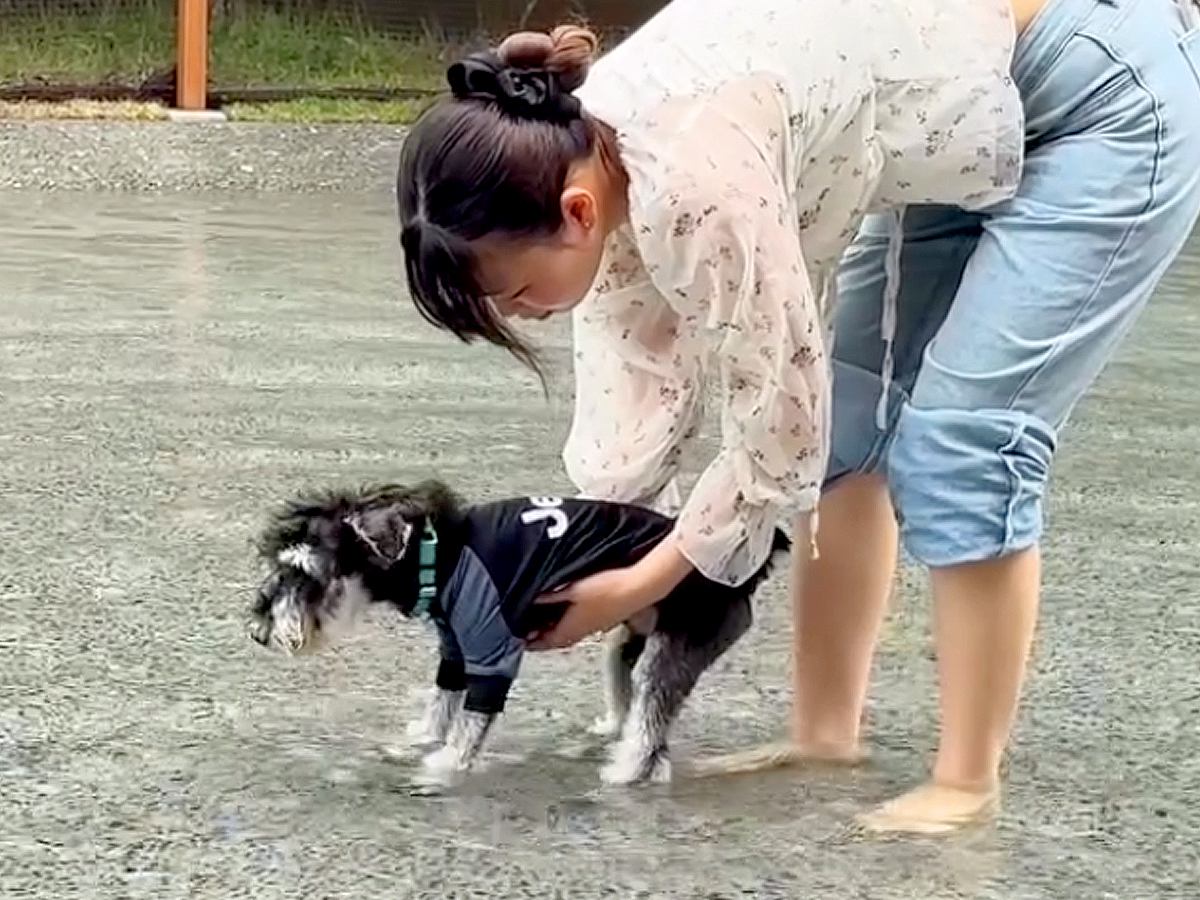 プールに連れて行った犬がフリーズ→『嫌な思いをさせてしまった』と反省していたら…3分後に見せた『まさかの変化』に反響「最高ｗ」「可愛い」
