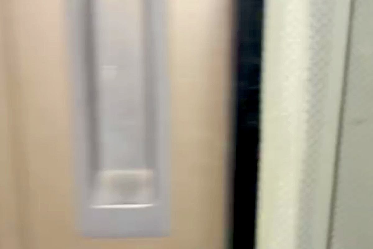 部屋の電気を消して仕事に行った結果→帰宅後、留守番していた大型犬が…露骨すぎる『拗ねた態度』が39万再生「頑張ったね」「完全に怒ってるｗ」