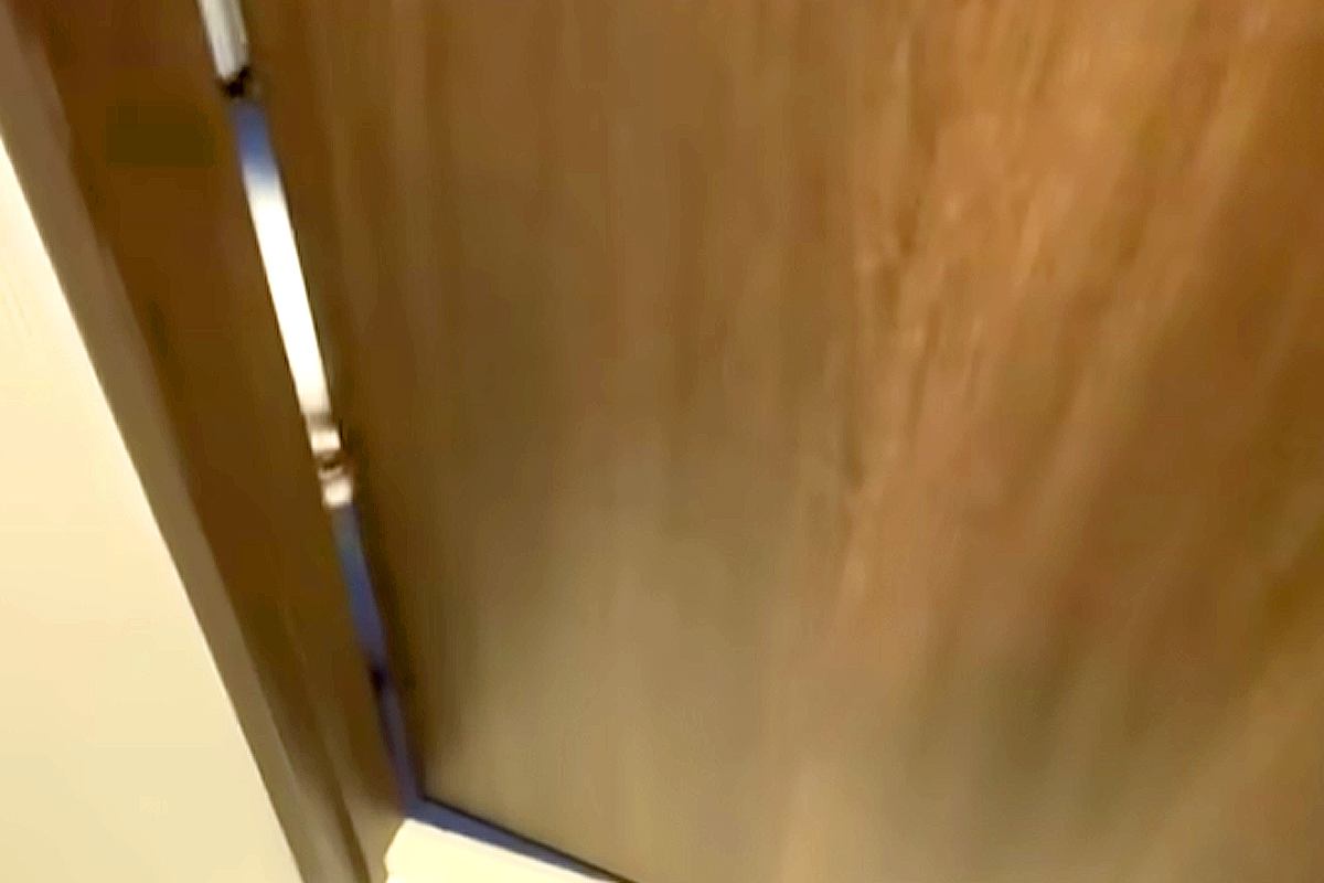 トイレに入っていたら、ドアの隙間から『わたあめのような子犬』が覗いてきて…とんでもなく尊い『表情』が81万再生「笑顔になった」「可愛い」