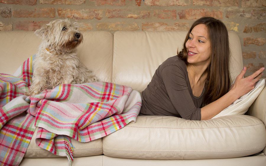 犬が飼い主に乗っかって寝るときの３つの心理