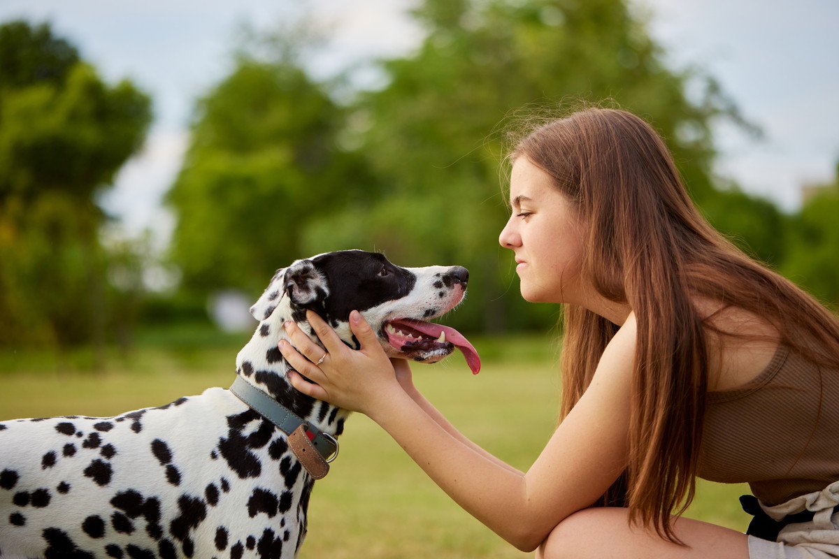 犬のしつけでアイコンタクトを教える必要はある？教える際の理由と必要性について