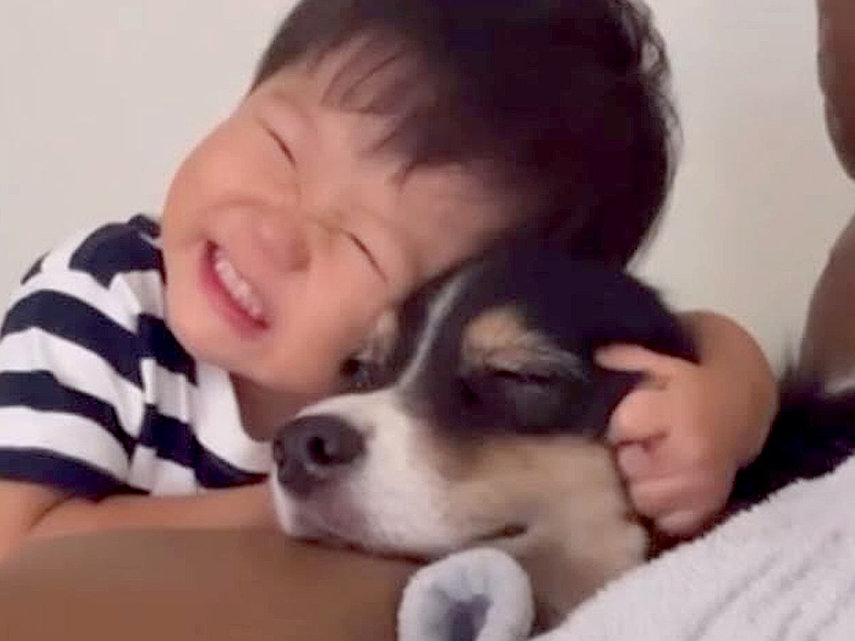 小さな男の子が『生まれた瞬間から犬と一緒に育った』結果…体調不良の時に見せた『あまりにも愛おしい行動』が228万再生「相思相愛」と絶賛