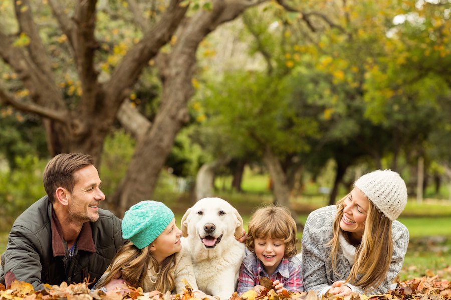 犬が家族の特定の人にだけ吠える心理とは？