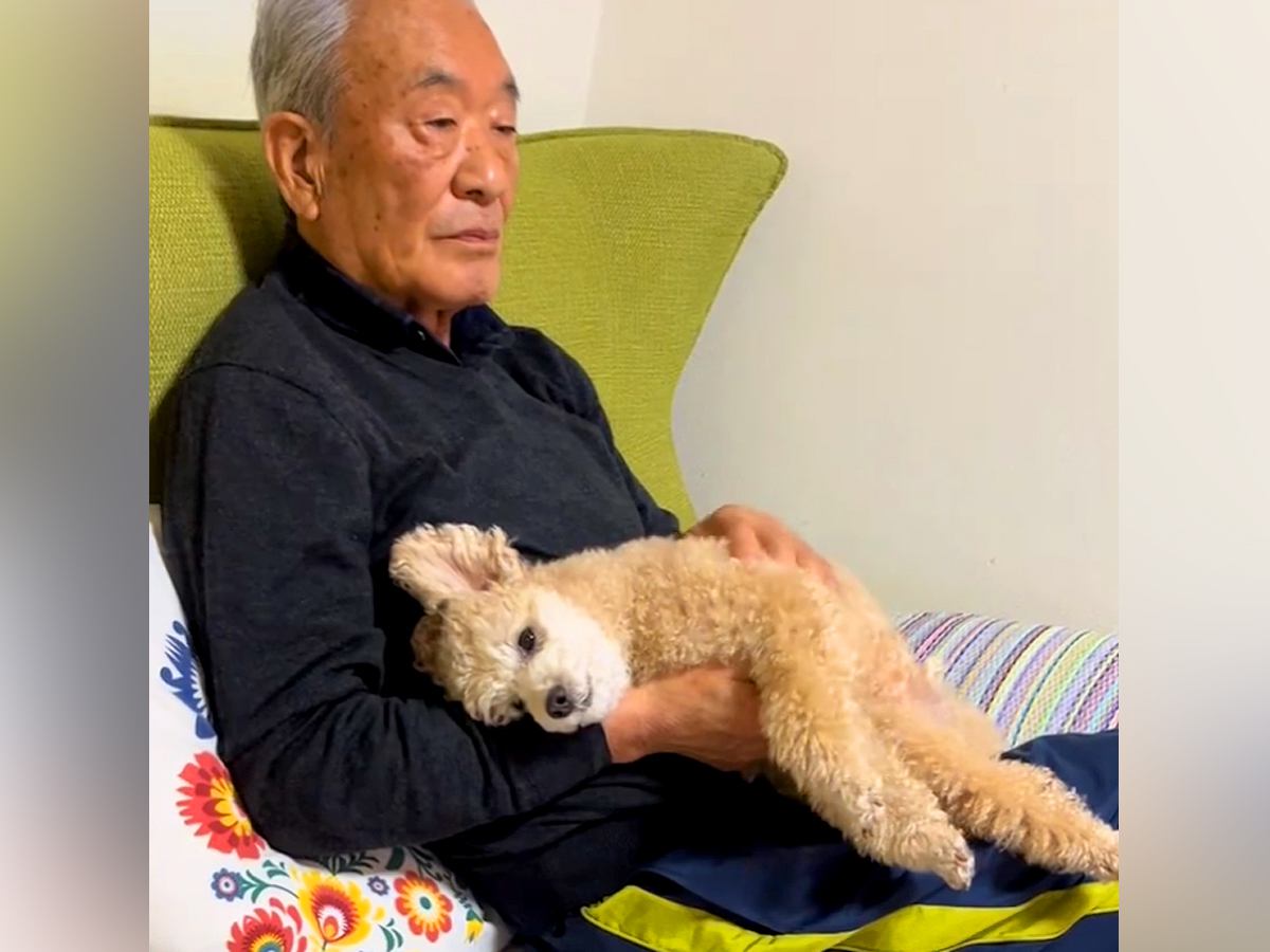 おじいちゃんと犬が一緒に暮らしたら…思った以上に『相思相愛な光景』が尊すぎると22万再生「一心同体すぎｗ」「なんて幸せ空間」と絶賛の声