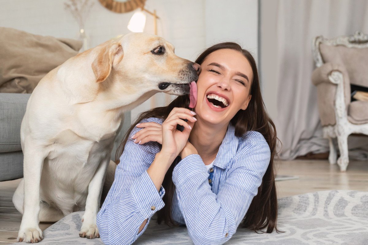 犬が『友達だと思っている人』に見せる仕草や行動3選！もっと仲良くなるためにすべきこととは？