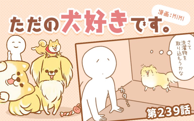 ただの犬好きです。【第239話】「監視中」