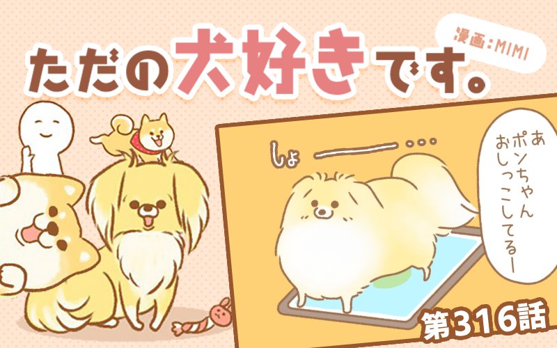 ただの犬好きです。【第316話】「抱っこの罠」