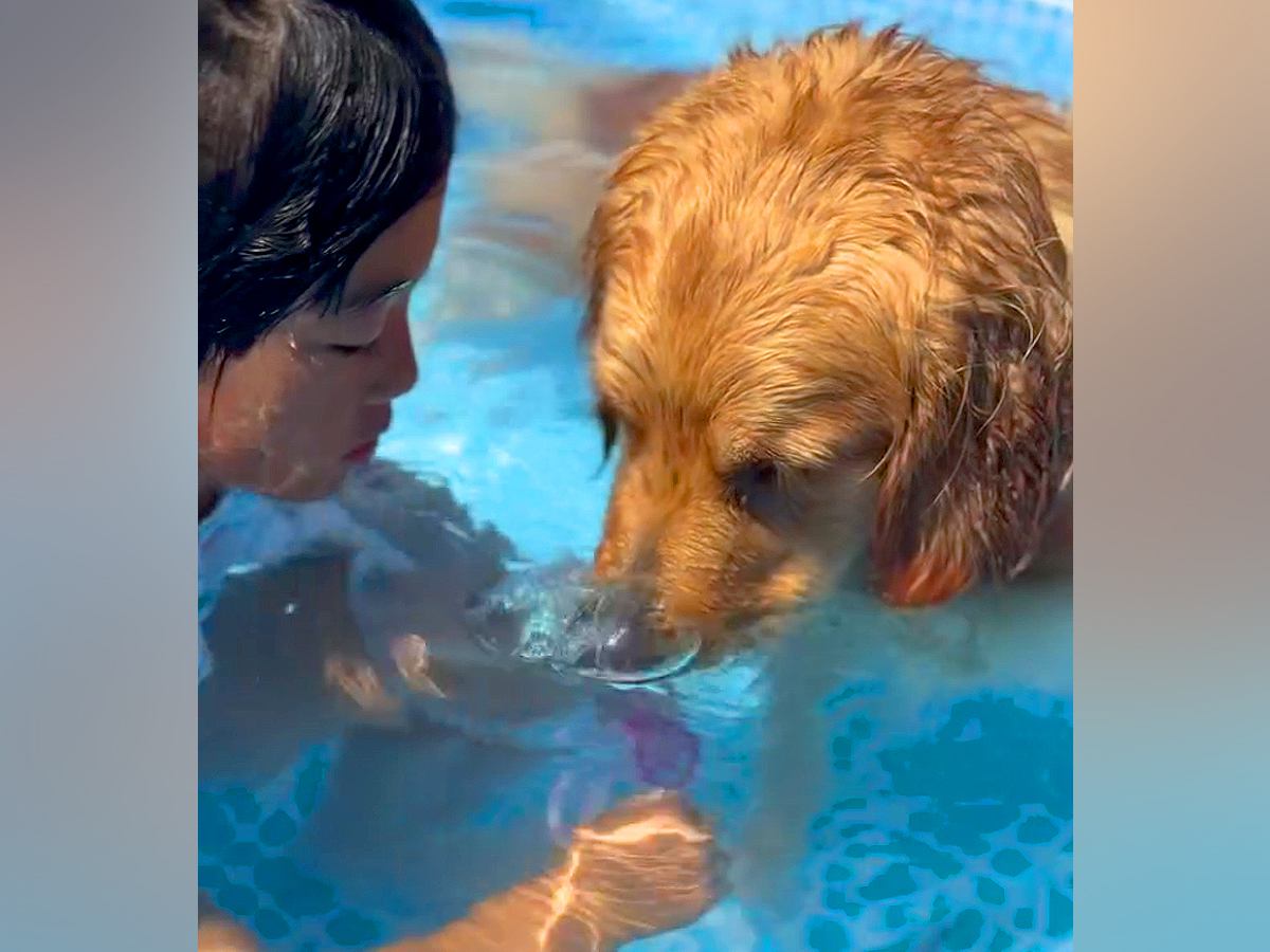 小学生の女の子の『夏休み』を朝から観察した結果→大型犬と一緒に…尊すぎる『幸せな日常』が5万再生「癒された」「めっちゃ可愛い」と反響