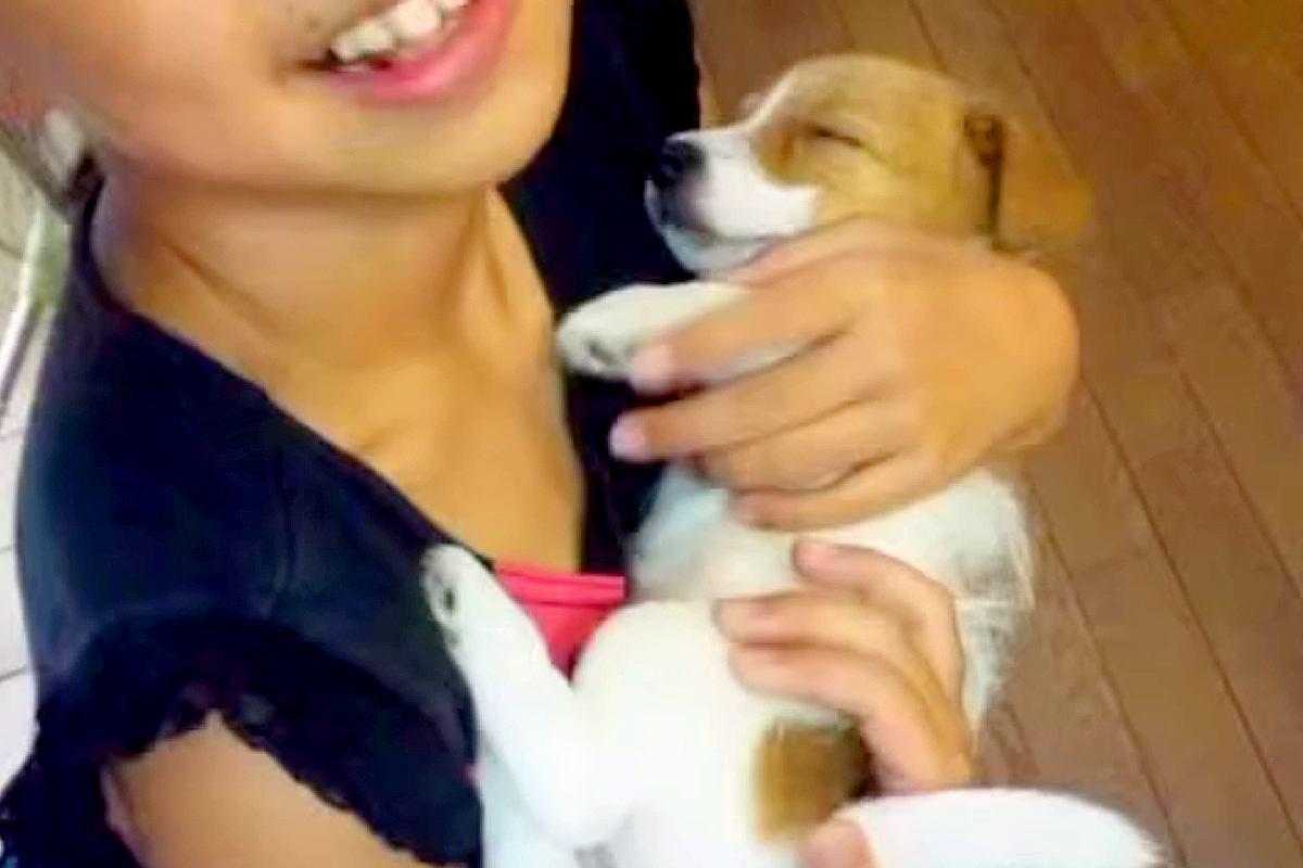 小学5年生の頃、親に『どうしても犬が飼いたい』とお願いして飼った犬…お迎え初日からお別れまでの『15年間の記録』に涙「幸せだった」「泣いた」