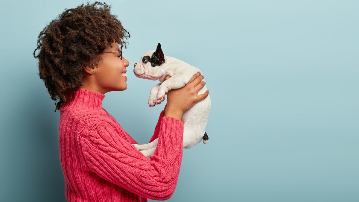 犬が『ひたすら飼い主を見つめている』時の心理3つ