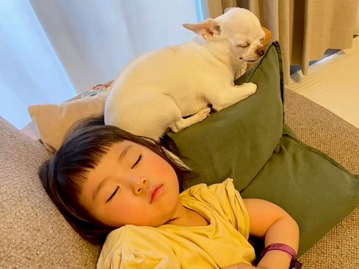 赤ちゃんがおねんねしていると、犬が近づいて…あまりにも尊い『本当の姉妹のような光景』に「癒される」「お互い大好きなのが伝わる」と悶絶の声