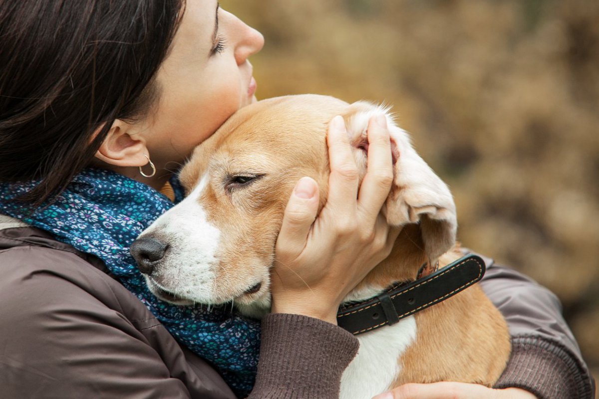 愛犬を不幸にしてしまう『4つのこと』