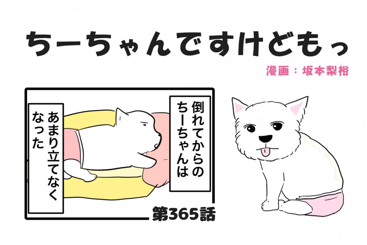  ちーちゃんですけどもっ【第365話】「ちーちゃんはちーちゃん」