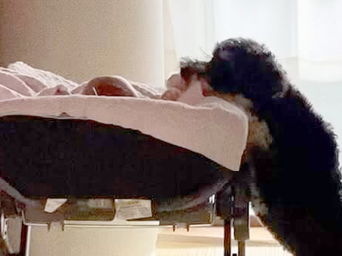 『ちゃんと寝てるかな？』１人で眠っている赤ちゃん→近くにいた犬が…もはやベビーシッターな行動が104万再生「確認可愛すぎ」「頼もしい」